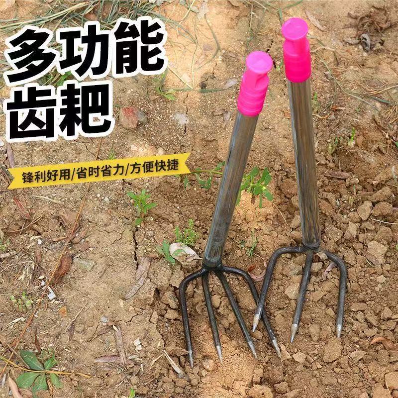 微信图片_202505070826123.jpg