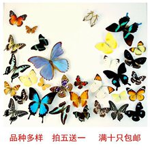���w��������x�˱�������ͯ�׃��@���ս̾���չ��zӰ�����OӋ1