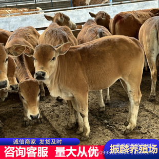 �������������Sţţ�ٷNţ ������ţ����ţ �gӭ����x