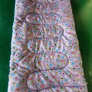 Factory Kidsren's High-Quality Sleeping Bag Digital Printing 800g Four-Season Travel Camping Style Optional Thickeneded Cold-Proof Portable