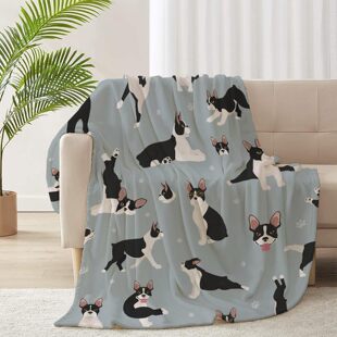 ��ʿ�D��Ȯ���m�q�p�|̺��ë�q�����w�S������Ʒ��ܛ���më̺