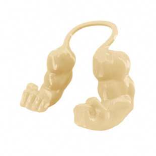 Muscle Cat Hulks Arms  ����؈�G�����ֱ�