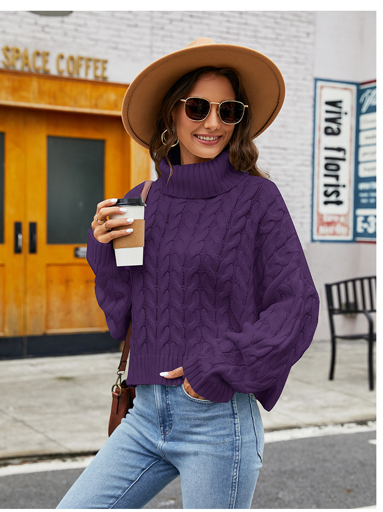 Women's Sweater Long Sleeve Sweaters & Cardigans Casual Simple Style Solid Color display picture 4