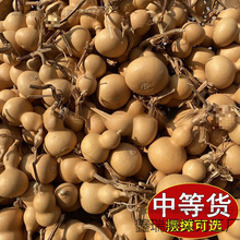 С���Jһ��؛Դ�����^��Ȼ����С����������ؔ����湩��