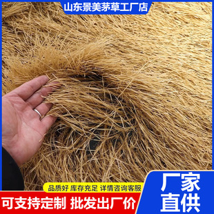 ����é����픾��^��ͤ�ٵ����r�Ҙ�����é�������ë�ݵ�̺ʽé��