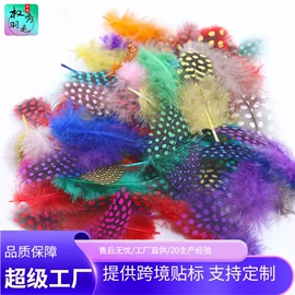 羽毛、羽绒;发夹;发带