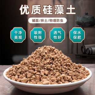 Factory wholesale generation of high quality diatomite fleshy green plants mixed with soil loose soil pH adjustment gentleman orchid