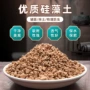 调节多肉代发疏松酸碱度