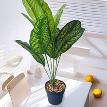 跨境仿真室内盆景芭蕉假树旅人蕉盆栽树绿植天堂鸟装饰仿真花