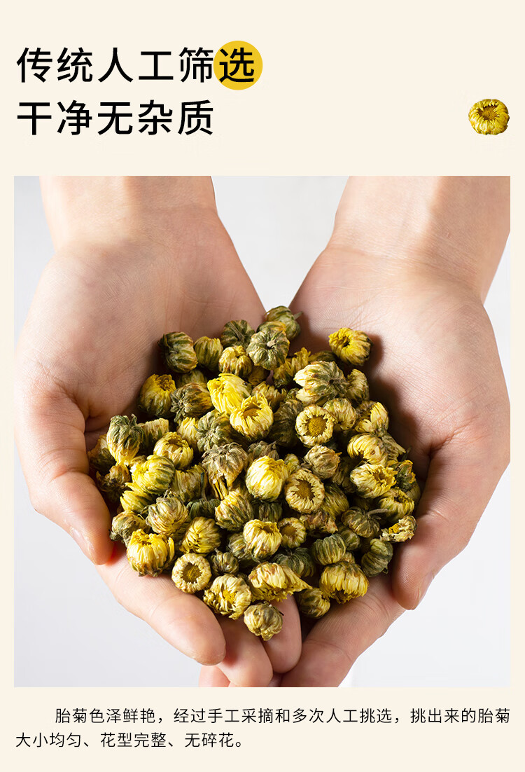 Tai Ju Chrysanthemum Tea Buds 500g Dried Flos Chrysanthemi for Daily Brewing quality and texture