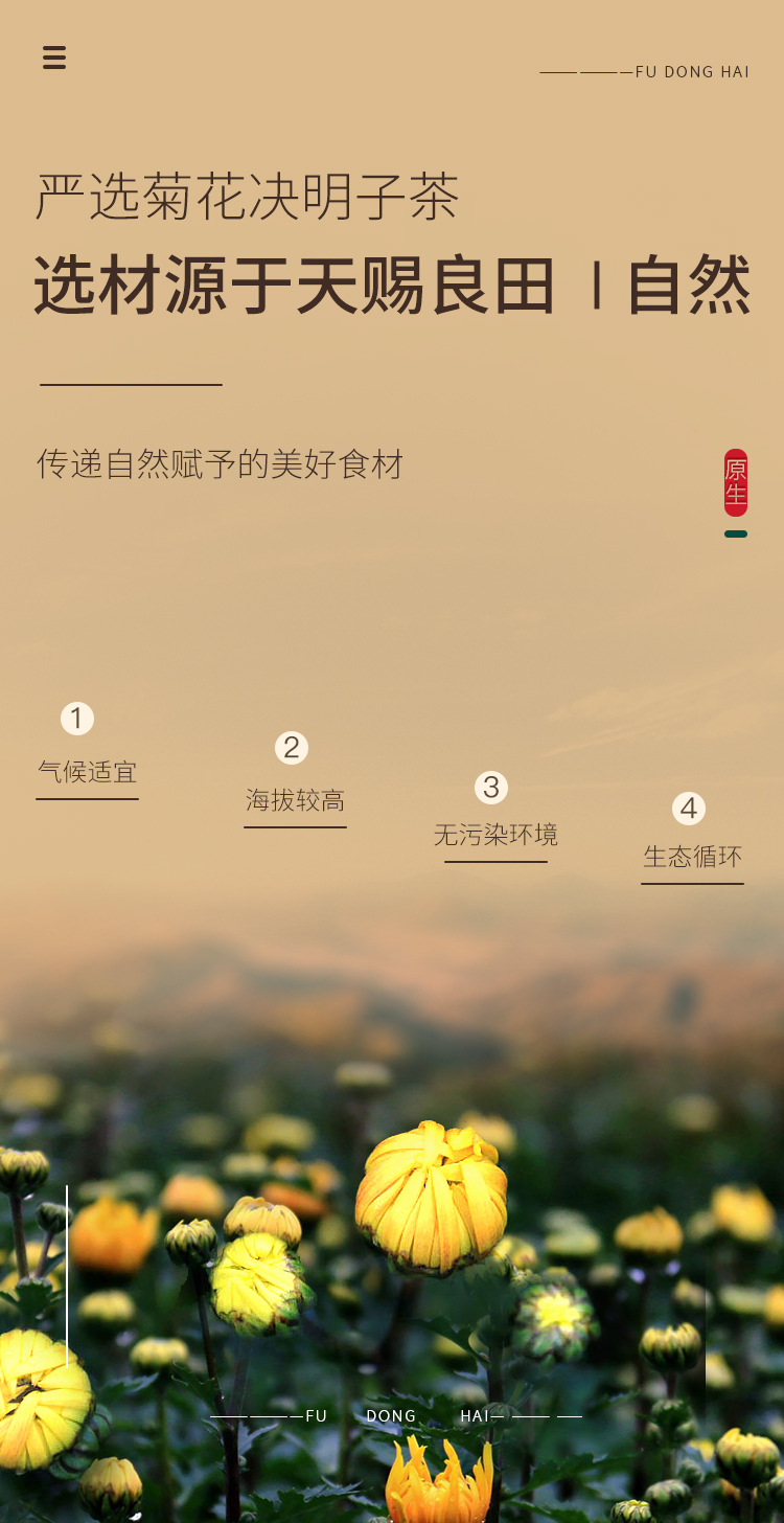 菊花决明子茶详情页_08.jpg