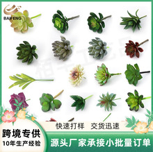 创意个性多肉仿真植物假花绿植盆栽迷你假多肉家居装饰一件代发
