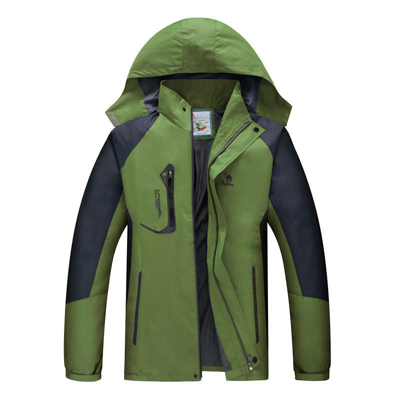 그린(얇은 봄, 가을 스타일)