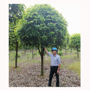 Ԯa Ʒ𻨘 L𻨘 𻨘  С ľ