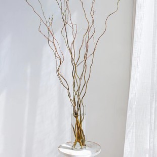 水培植物龙柳鲜枝切花水养绿植雪柳干支室内吊钟泡水长根装饰盆栽-阿里巴巴
