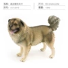 PL127-2913 Caucasian Shepherd Dog 195g
