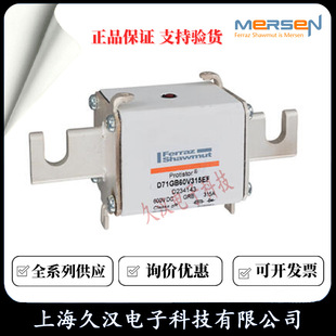 Roland fuse D71GB60V250EF/D302223 D71GB60V315EF/D234143