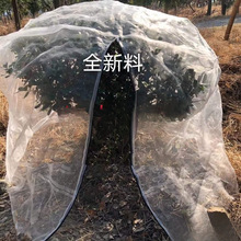 ÷WˮWַxɏF{ݮWҘBWWִWÎ