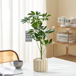 �k���������҃ȾGֲС���������L�[���҃ȳ���ȩ�����՚��ļ�ͨ��