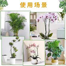 ����֧�ΗUֲ������������֧�μܻ��ܾGֲ���͹̶������������辰