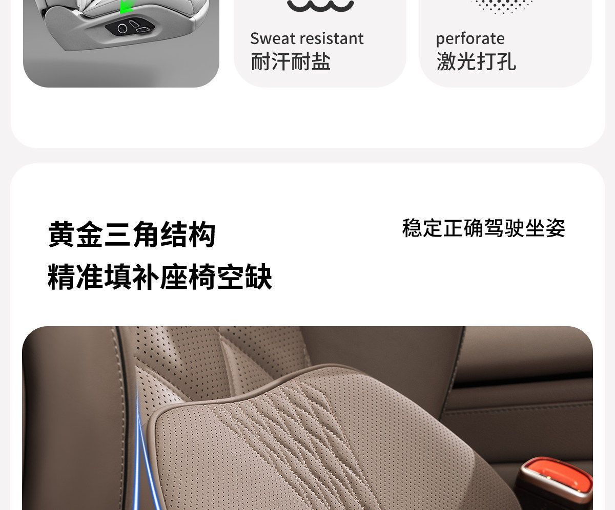 Byd Dolphin Seal Qin Plus Han Song Pro Yuan Plus Car Lumbar Support Cushion Car Seat Lumbar Pad