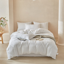 ���w������~�ļ����ļ����������Q���ڿ羳���