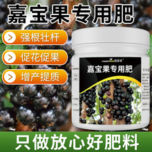 嘉宝果肥料树葡萄缓释肥催花复合颗粒营养有机肥果树珍宝促果