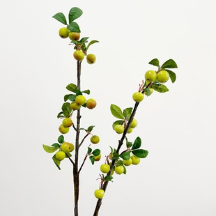 ��Ʒ�|���滨���Ĺ�������ʽ�������ҾӾƵ�����b[���zӰ����