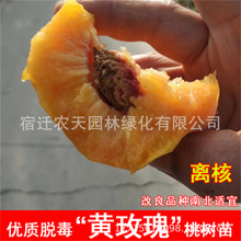 �Ҙ�޽���ˮ�����������ϱ����N���Թ��䶬�Ҙ���箔��Y��
