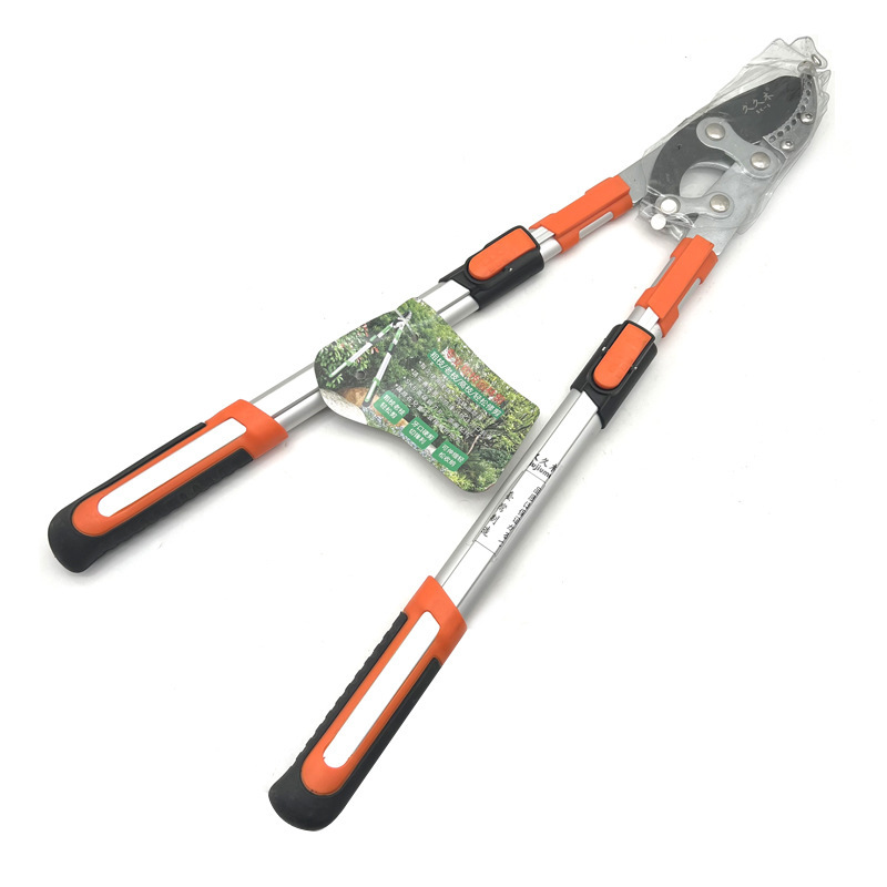 微信圖片_20231212132523