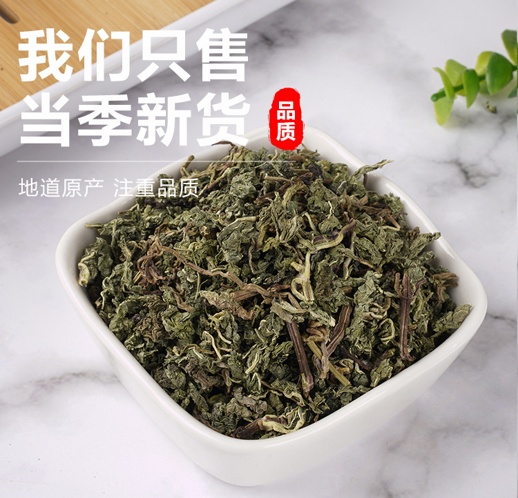 Mint Leaf Tea (Mentha haplocalyx) — Dried Mint Herbal Tea, 75g Jar for Cold Brew & Fresh Infusions preparation