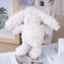 �W�t����������ë�q��߹�����ż������耳׿�С����ë�q������l