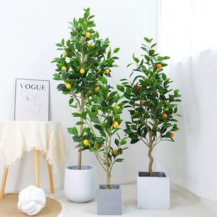 晎ʘ҃insLGֲ͏dԔ[bҼ٘