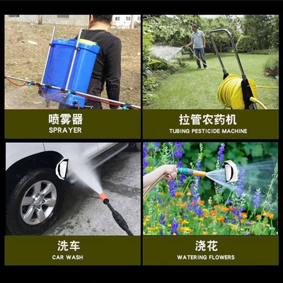 Portable car washer, Convenient 12V Household 220V High-Pressure
