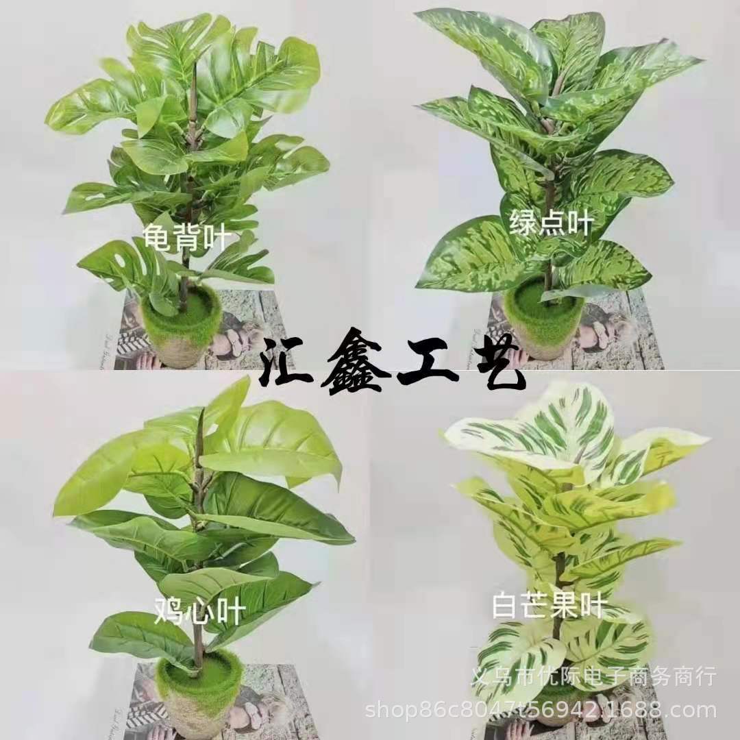 e31972293542249cef44e6473a3ca4