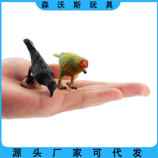 ���Q�羳���挍���o�B���k�[���B��w�Є���ĵ���W�^�R�\ˮ���f