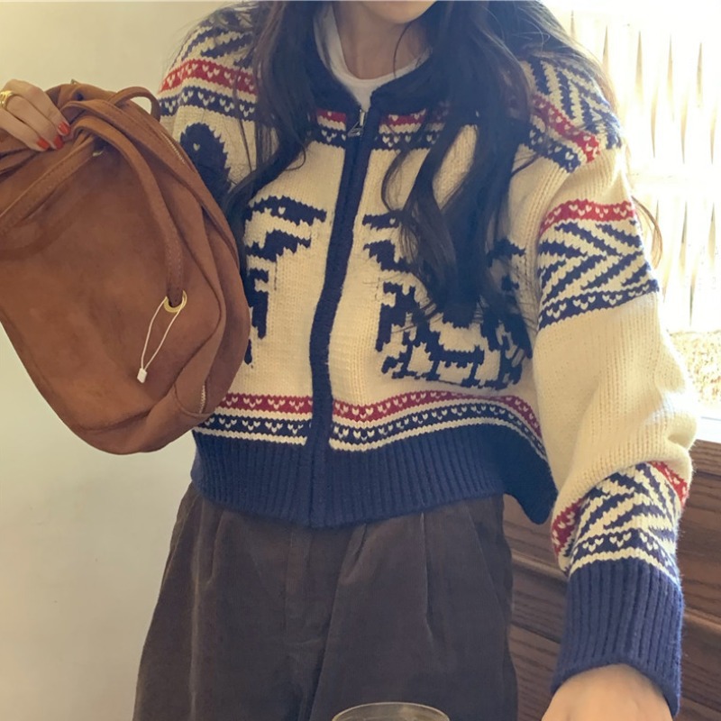 Chaqueta corta tipo suéter para mujeres pequeñas, otoño 2023, nuevo estilo japonés vintage, cárdigan de punto holgado de manga larga. image 8
