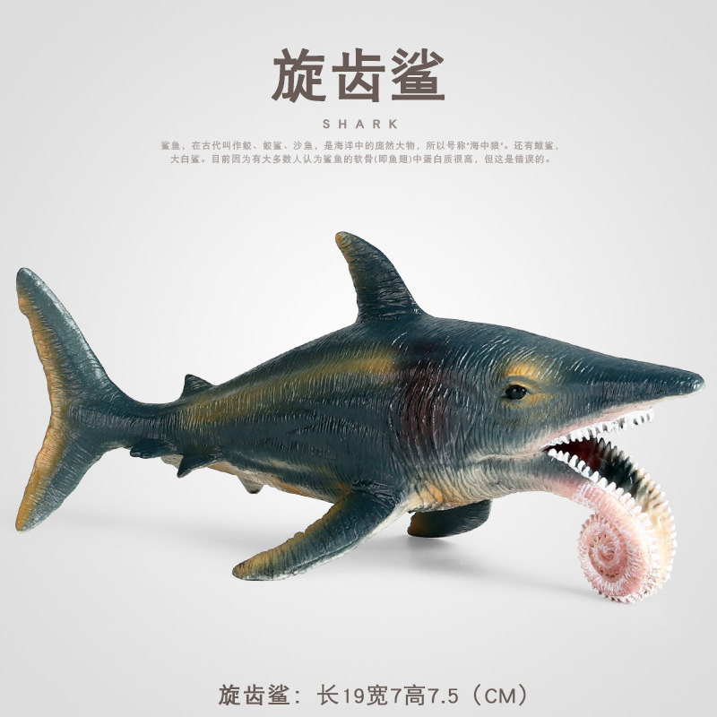 Children's Toy Plastic Figurine: Lifelike Model of an Ancient Marine Creature—A Stylish Shark with Curved, Spiraling Teeth