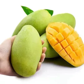 块茎类;其他水果;苹果