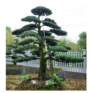 ���� ֱ�� �_�h�ɴ�� �����_�h�� �G������ ��ľ ���� �_�h�ɘ�