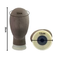 Mannequin head, tubing, mold