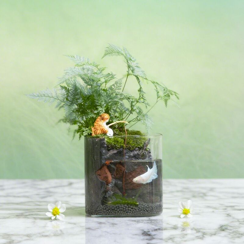 Eco-Friendly Fish Tank, No Need to Change Water, Self-Cleaning, Ecological Filtration, Ecological Circulation, Ancient Method, No Need to Plug In, Ecological Landscaping Fish Tank