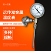 Shanghai Tianyi PT100 thermometer Remote thermometer WTYY-1021/1031 Radial 0-100 degree M27
