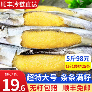�O����~�M�Ѷഺ�~ ���r�~��r �l�l�M�����r����ʳ�� 1500g��