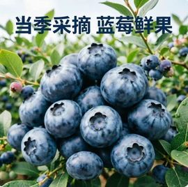 枸杞及其制品;黄芪;代用/养生茶
