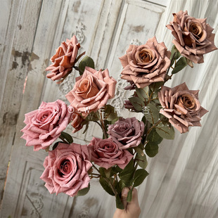 3�^��õ����滨�������Zõ�廨��Y���üҾӔ[���W�t�̲�ɫõ��