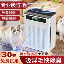 ȫ�Ԅ���؈ë����՚�����������B؈��ë�C������ë����