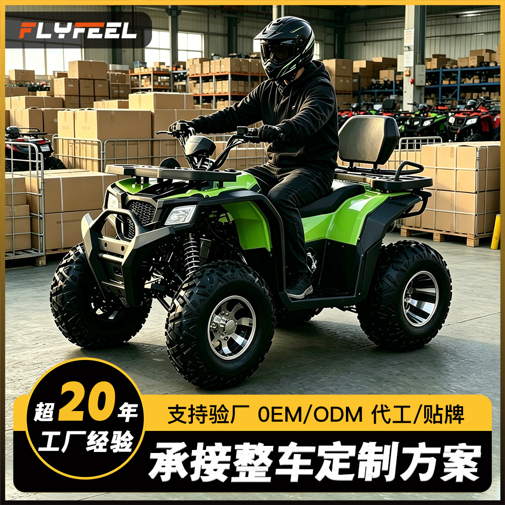 Cuatrimoto ATV Todo Terreno 200cc de Hierro y Plástico con Transmisión Automática para Montaña image 4
