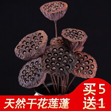 ��Ȼ��Uɏ��ɻ��U���L��ɏź�ֹ��ɻ�ɏ���Ҿ��b[���F�z����