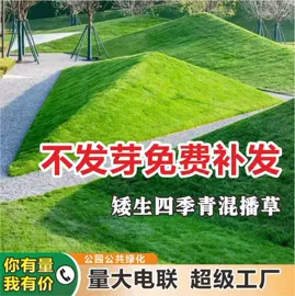 草种子;种子